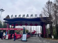 -黄海国家森林公园