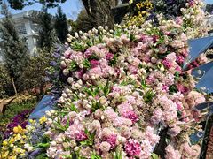 -上海鲜花港