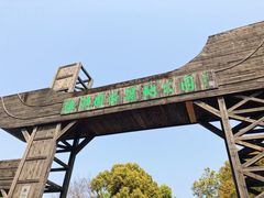 -溱湖国家湿地公园