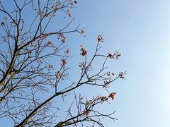 -金海华·Winsun玲珑国际·赫本时光(园区金鸡湖店)