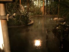 -水底山庄园温泉