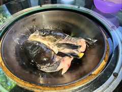 -好灶头妈妈菜·千岛湖土菜地标美食