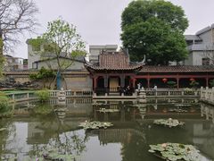 -碧江金楼