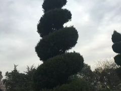 -宝鸡植物园