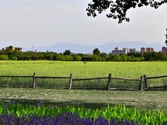 -汉长安城未央宫国家考古遗址公园