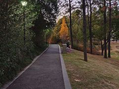 -美兰湖景区