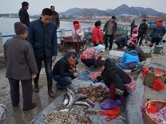 -青岛沙子口国家中心渔港