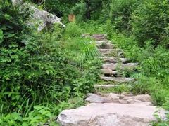 -终南山国家森林公园