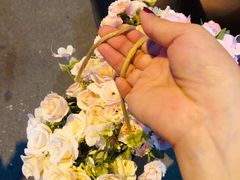 -TheGreenParty(槐房万达店)