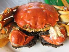 -瑞杰烧烤店·24小时营业(山东路店)