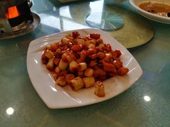 -大鸭梨烤鸭店(金顶街店)