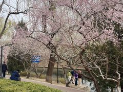 -安定门(地铁站)