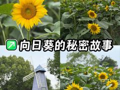 -上海杨姆庄园