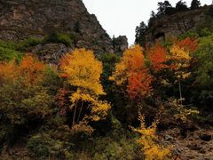 -冶力关旅游区