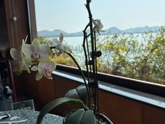 -湖畔居茶楼(湖滨店)