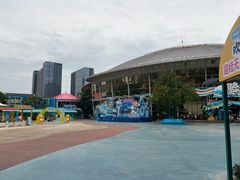 -海合安成都极地海洋公园