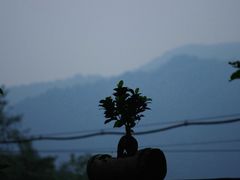 夜色青城山-亦缘居私家别院