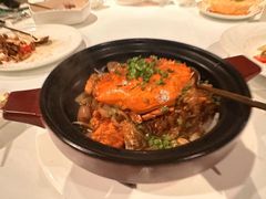 -三号黄浦会Canton Table