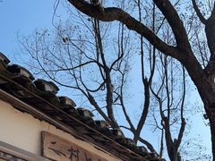 -村上春树