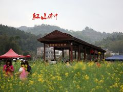 -红山村