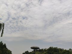 -中国湿地博物馆