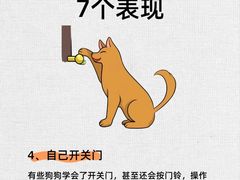 -派联宠物医院·24h·CT·异宠