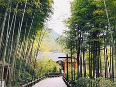 -天目湖御水温泉·度假酒店