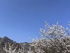 -北京密云天门山风景区