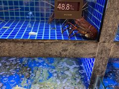 -徐记海鲜(梅溪新天地店)