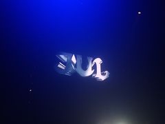 -SPACE(欢乐颂购物中心店)