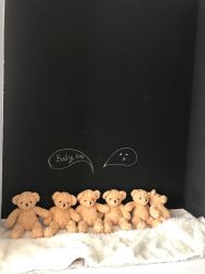 -首尔宝宝SEOUL  BABY STUDIO(通州店)