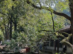 -岳麓山风景名胜区