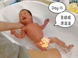 -海豚湾高端月子会所(黄浦店)