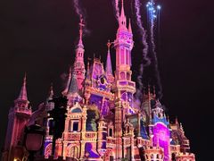 -上海迪士尼度假区