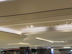 -港汇恒隆广场