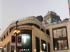-TESLA 特斯拉(上海太古汇体验店)