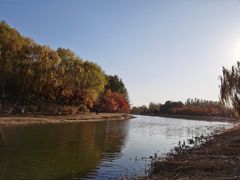 -大兴滨河森林公园