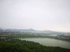 -羊山湖公园