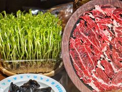 -受气牛肉·重庆耙牛肉(来福士店)