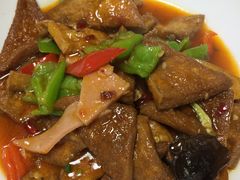 -丁老爷子苏香圆