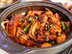 瓦煲干肉骨茶-新记肉骨茶