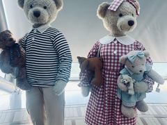 -济州岛泰迪熊博物馆