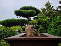 -泰州凤城河风景区-泰山公园