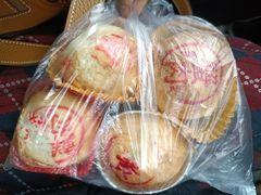 招牌鲜肉月饼-泰康食品有限公司食品厂