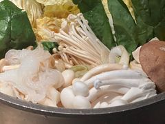 -山杏yama-katsu·吉列炸物