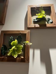 -芳朵美容养生SPA