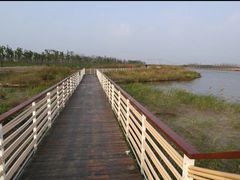 -春花秋色城市公园