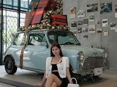 -上海普陀宝诚MINI4S店(红柳路店)