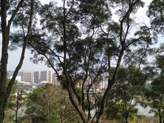 -飞凤山奥体公园