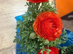 -双季花艺园艺市场(浦东店)